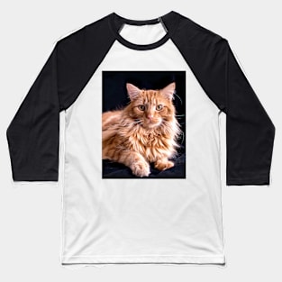 Big yellow cat Baseball T-Shirt